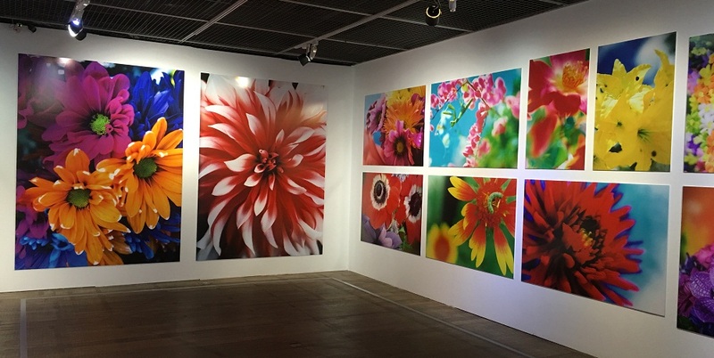 蜷川實花展