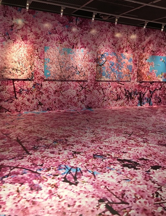 蜷川實花展