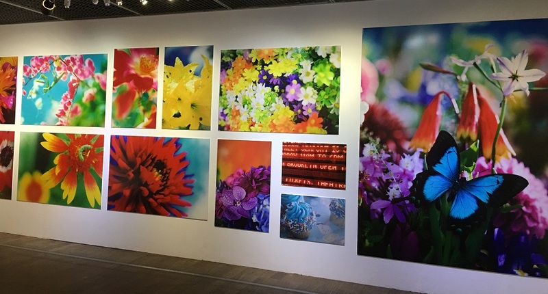 蜷川實花展