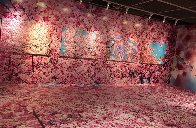 蜷川實花展