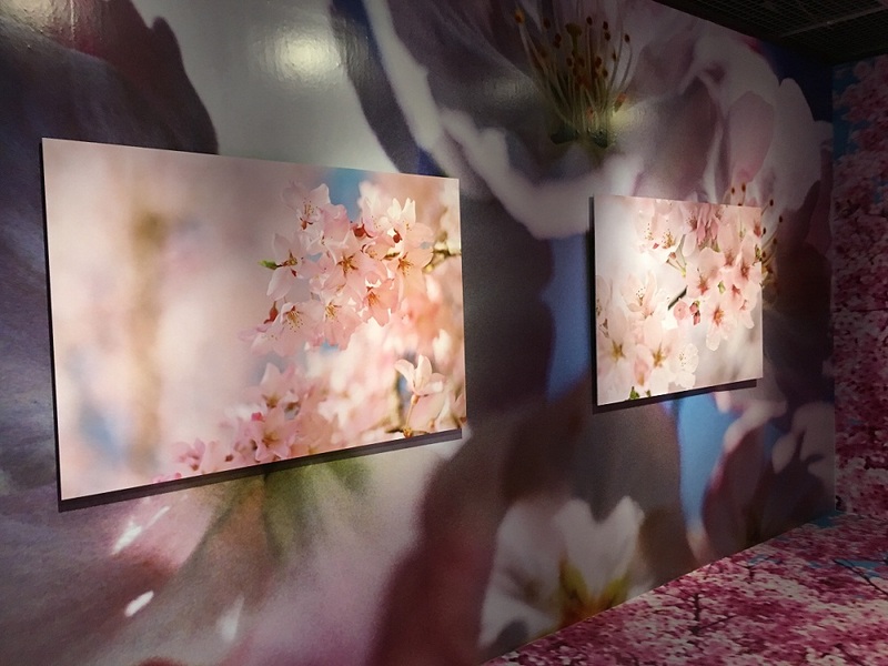 蜷川實花展