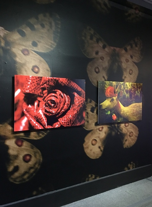 蜷川實花展