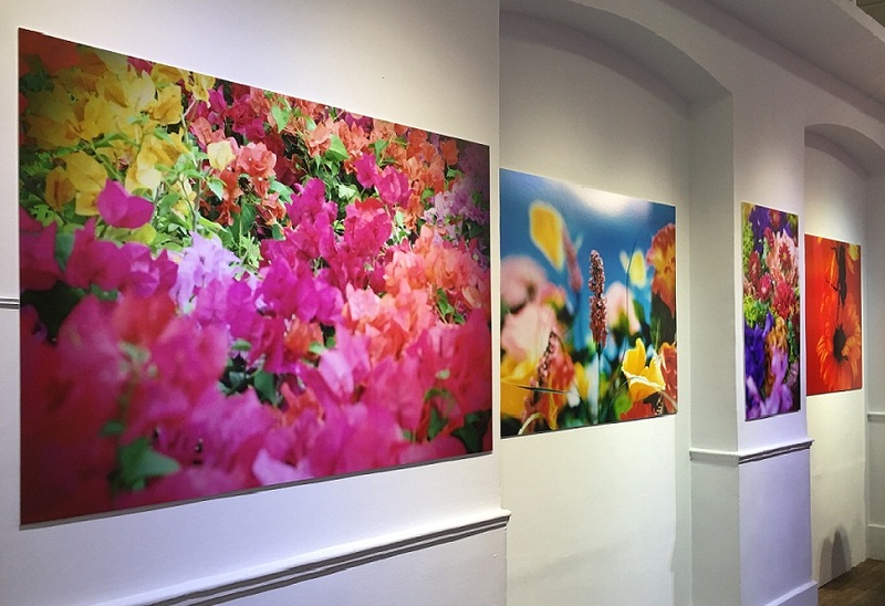蜷川實花展