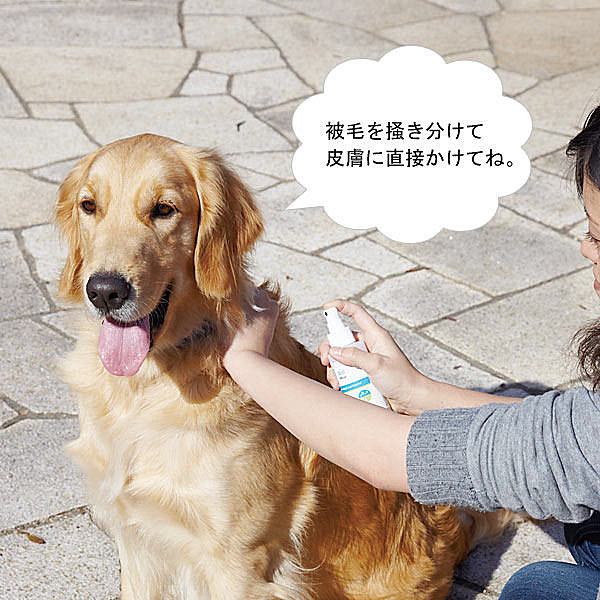 狗狗專用降溫噴霧