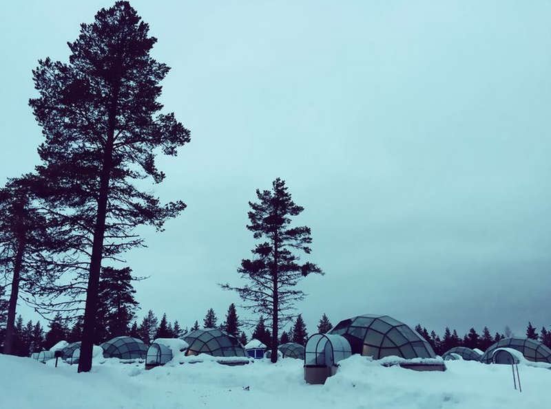 北歐的冬季,所有的東西都覆蓋著一層厚厚的白雪~