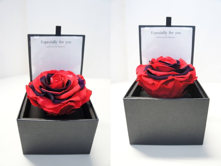 TIERRA永生花禮盒
單色LINDA/雙色及七彩ARCOIRIS $2000
(SIZE: 10.5*10.5*7.5 cm)
